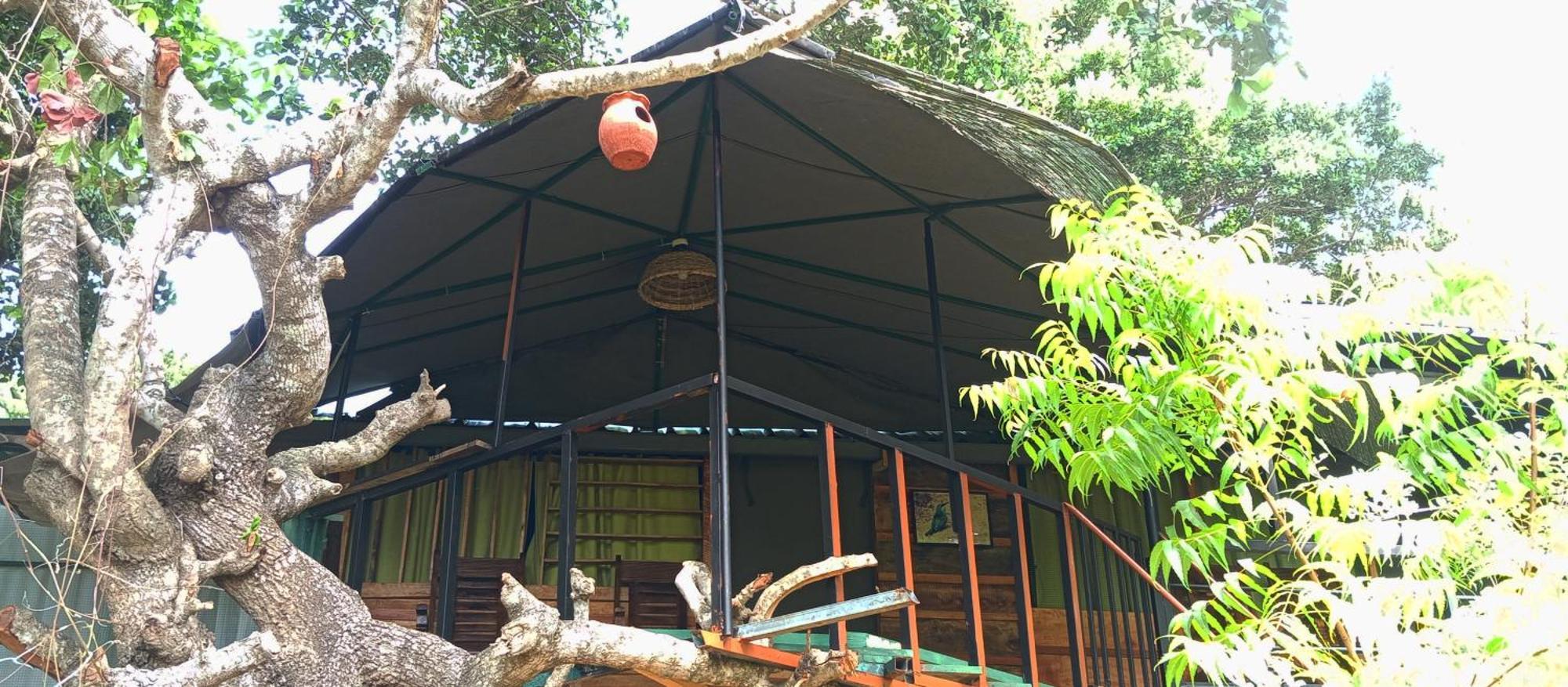 Jungle Cabin - Bundala Bundala Levagamgoda Exterior foto